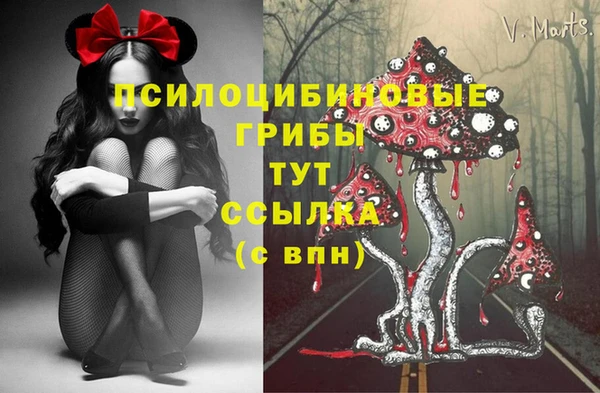 бошки Аркадак