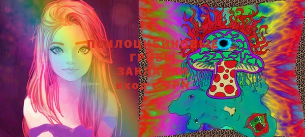 бошки Аркадак