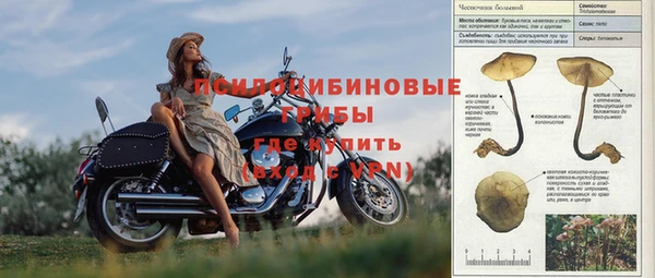 бошки Аркадак
