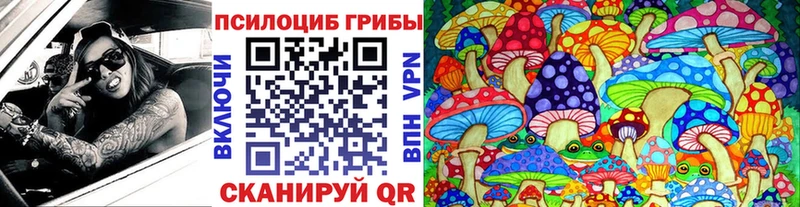 Псилоцибиновые грибы Magic Shrooms  Светлоград 